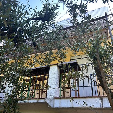 Bastide Des Hesperides Apartment Flayosc Exterior photo